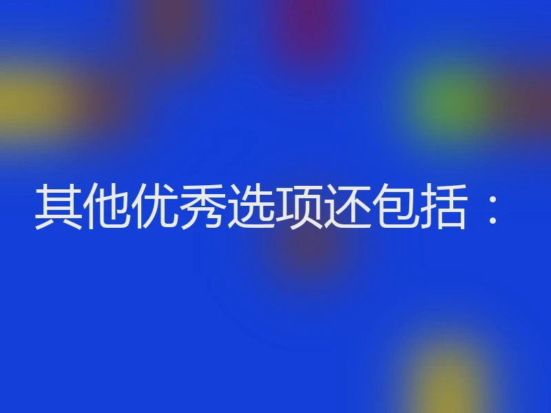 其他优秀选项还包括：