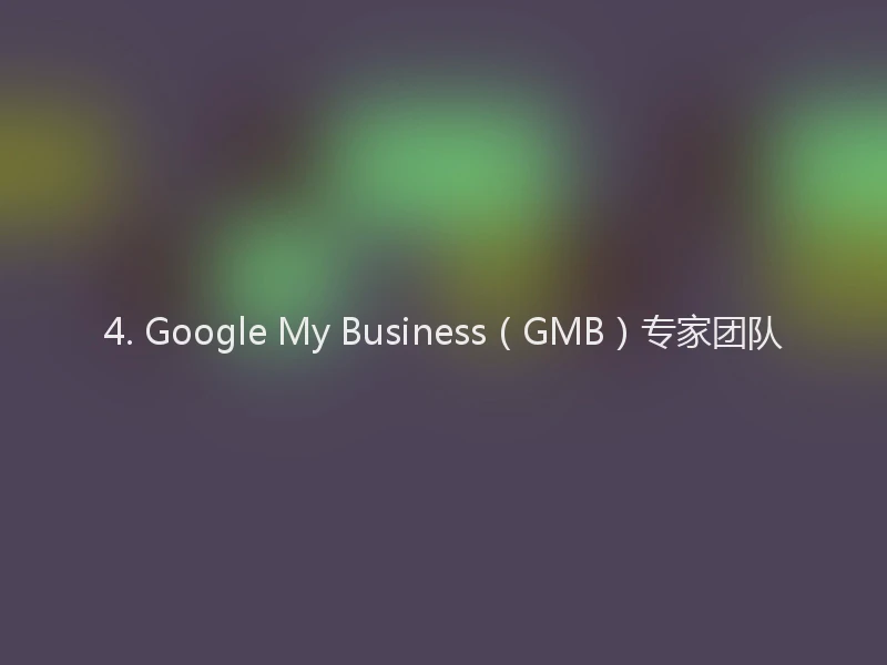 4. Google My Business（GMB）专家团队
