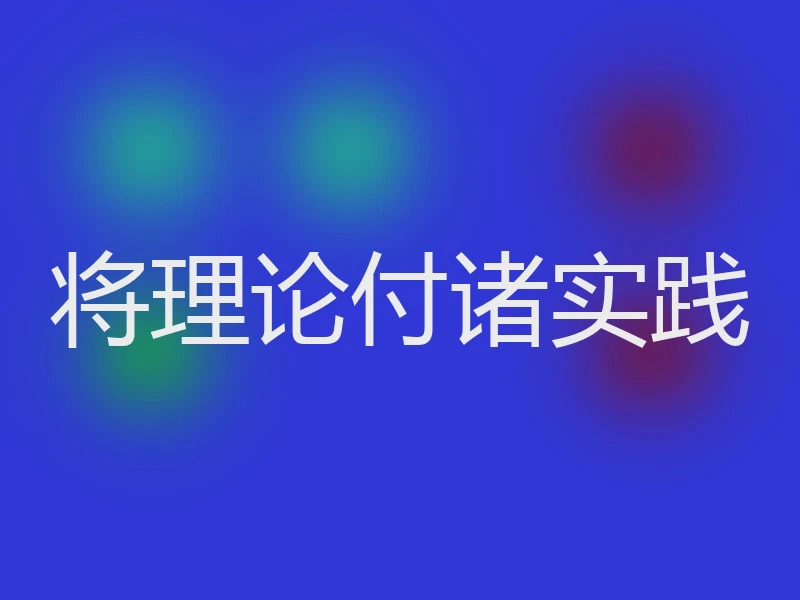 将理论付诸实践