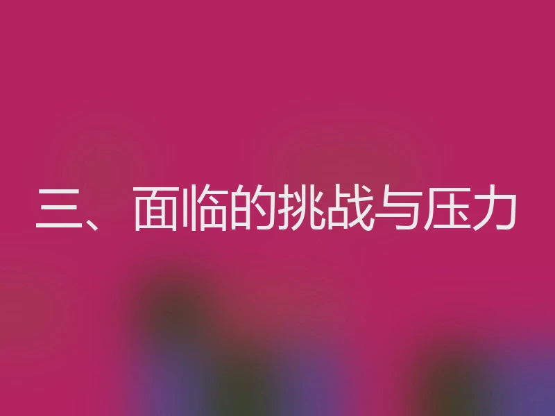 三、面临的挑战与压力