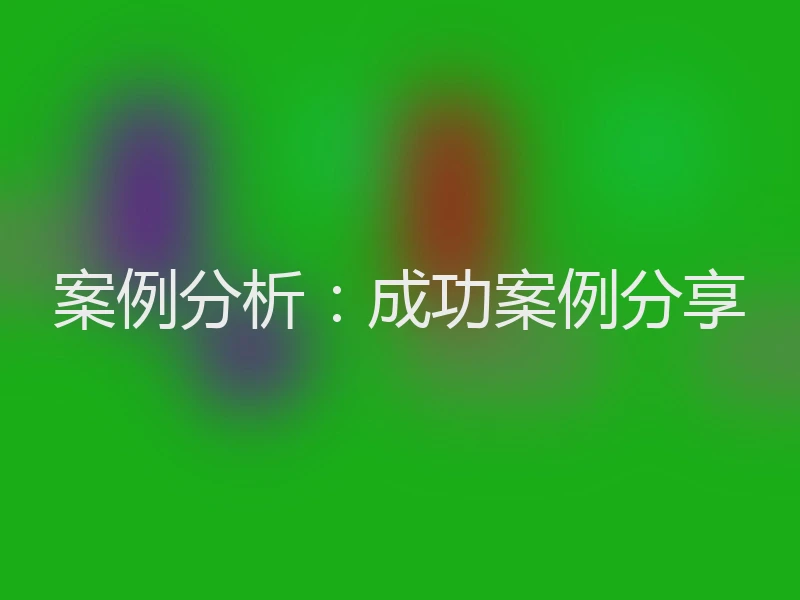 案例分析:成功案例分享