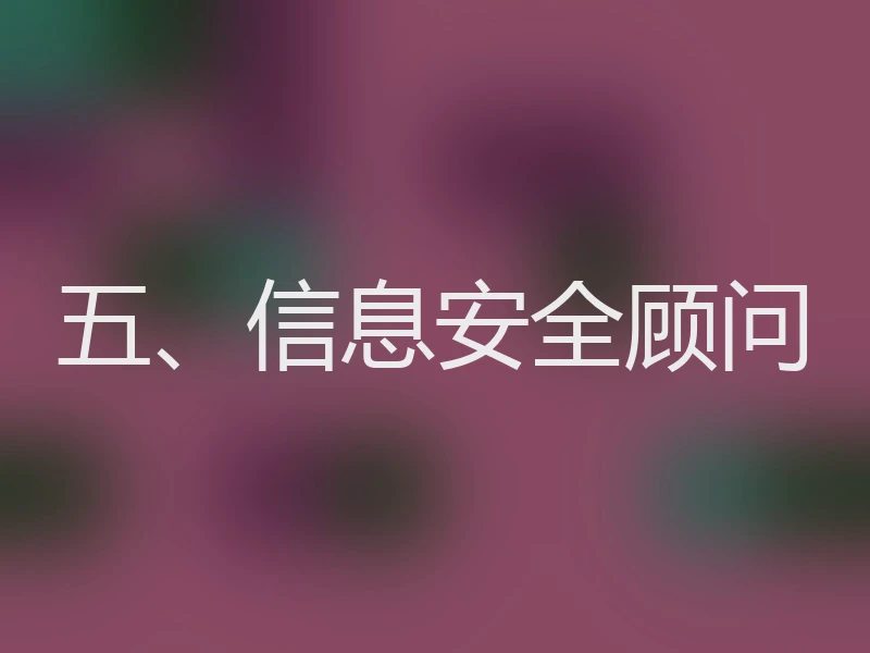 五、信息安全顾问