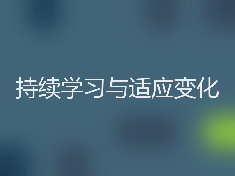 持续学习与适应变化