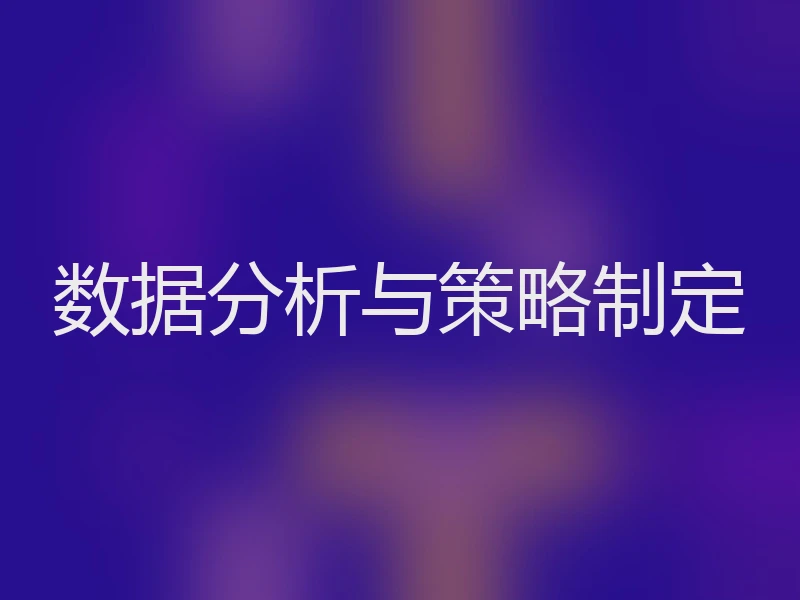 数据分析与策略制定