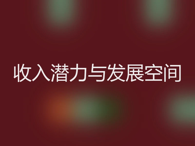 收入潜力与发展空间