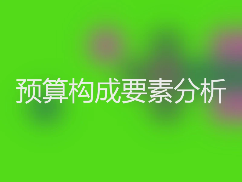 预算构成要素分析