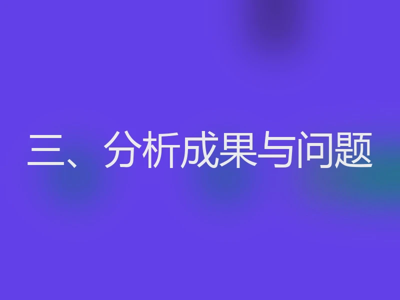 三、分析成果与问题