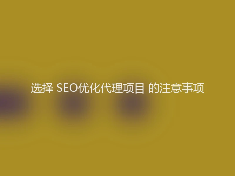 选择 SEO优化代理项目 的注意事项
