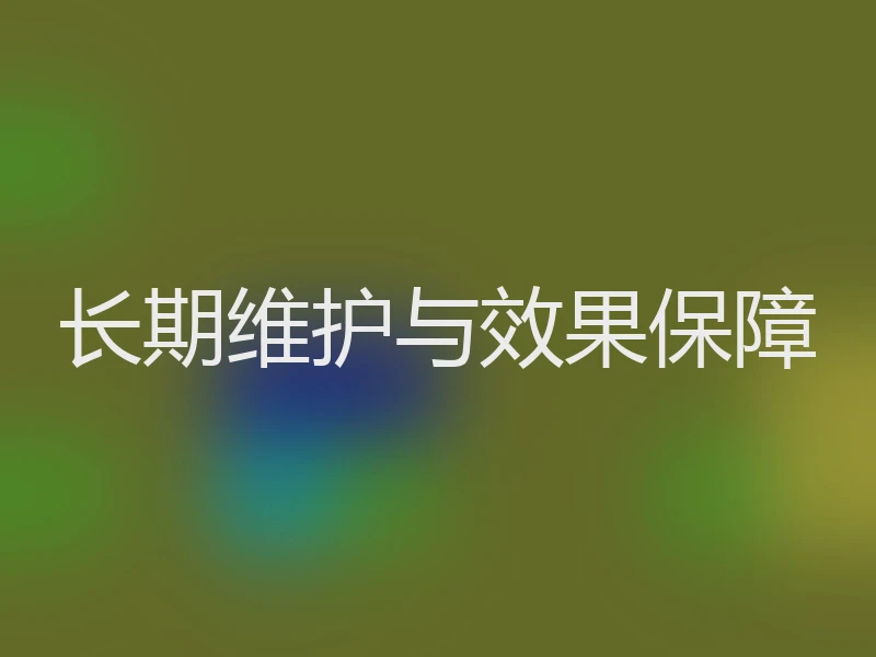 长期维护与效果保障