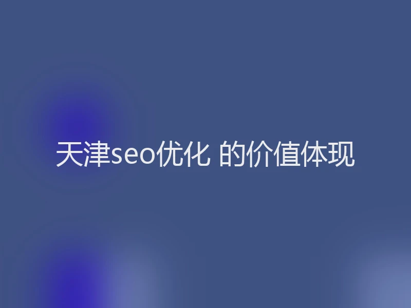 天津seo优化 的价值体现