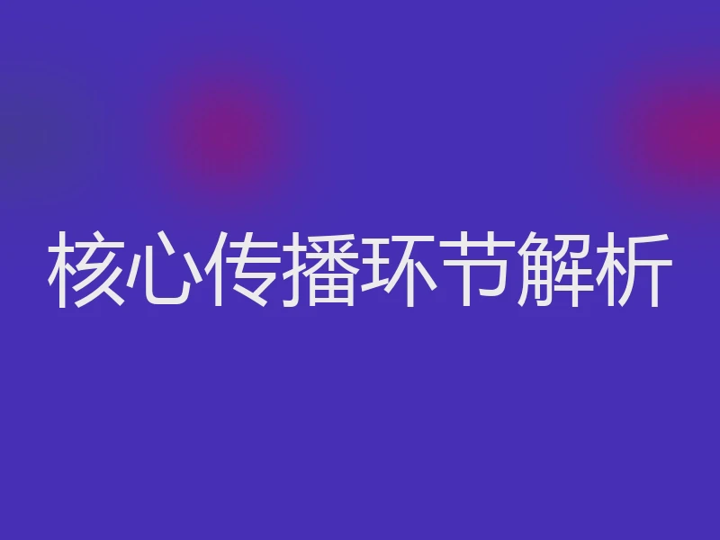 核心传播环节解析