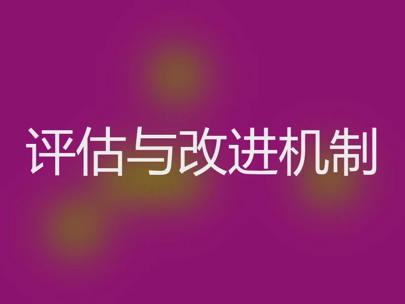 评估与改进机制