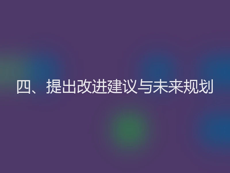 四、提出改进建议与未来规划