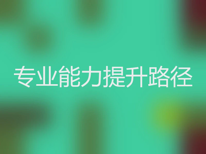 专业能力提升路径