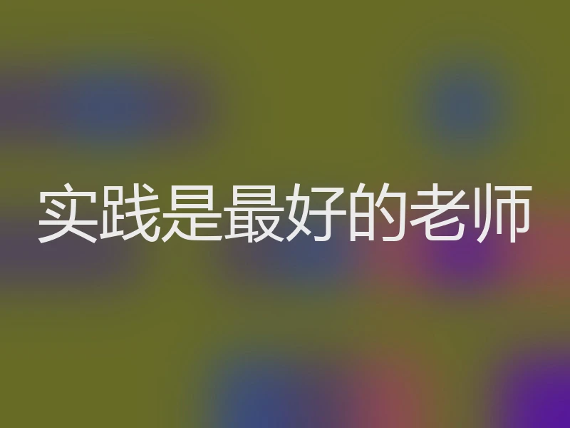 实践是最好的老师