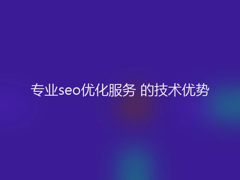 专业seo优化服务 的技术优势