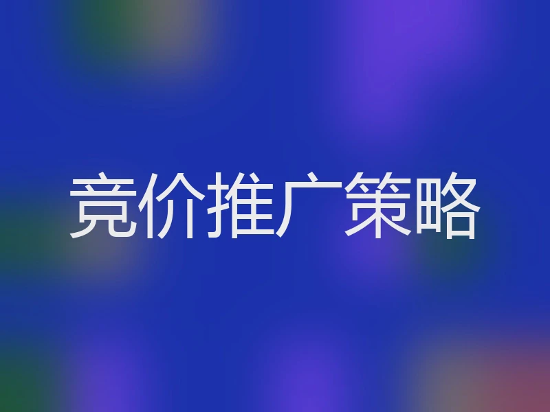 竞价推广策略