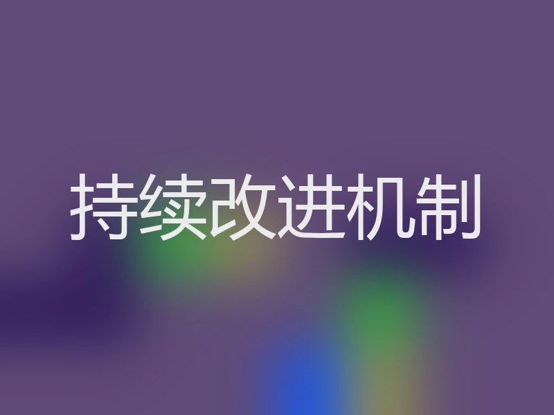 持续改进机制