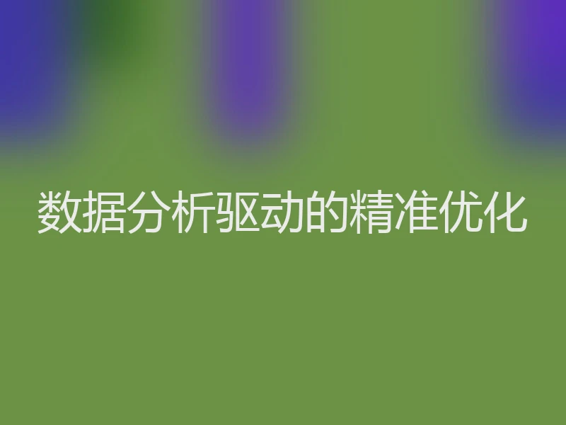 数据分析驱动的精准优化