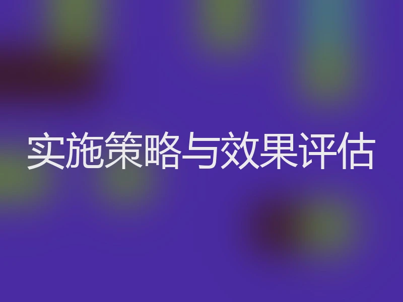 实施策略与效果评估