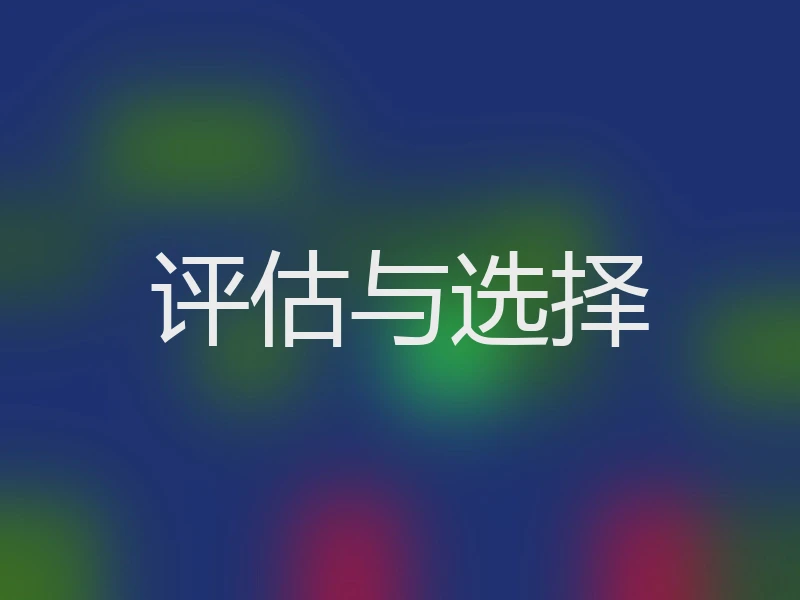评估与选择