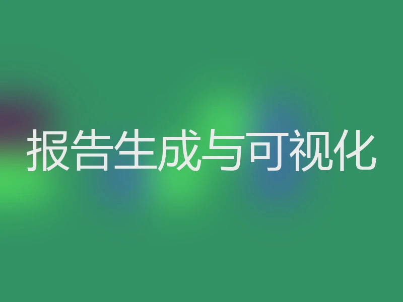 报告生成与可视化