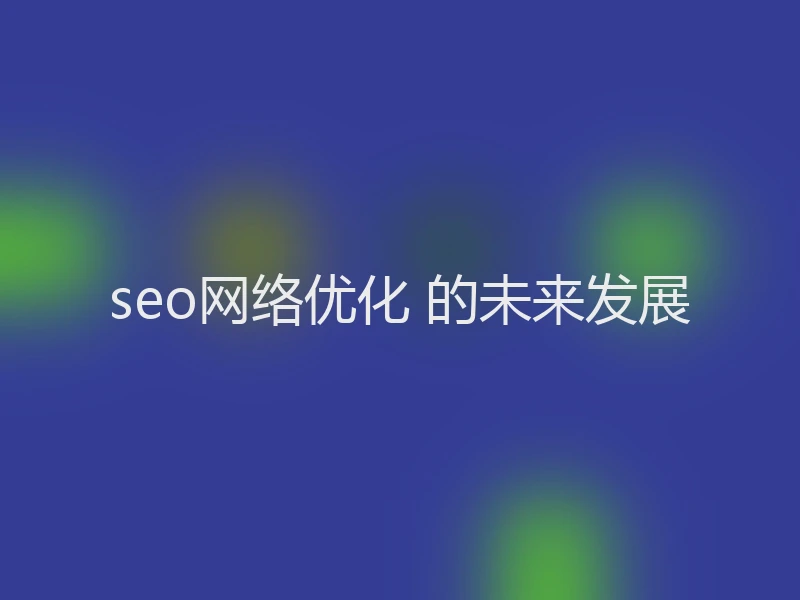 seo网络优化 的未来发展