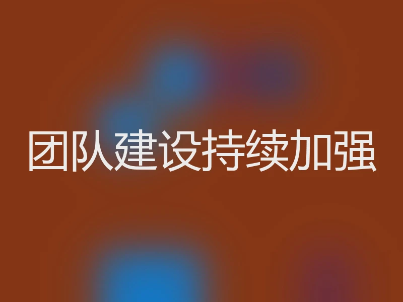 团队建设持续加强