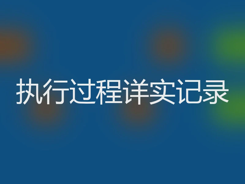 执行过程详实记录
