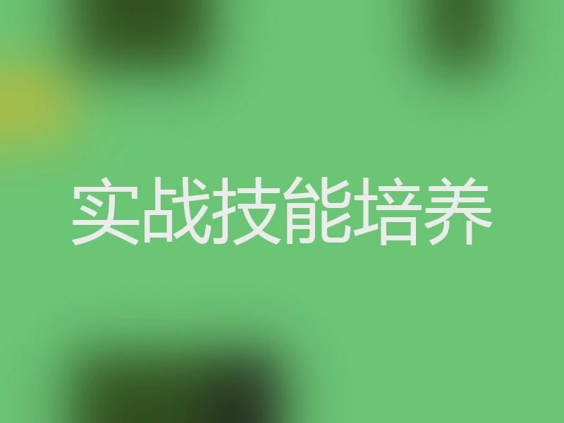 实战技能培养