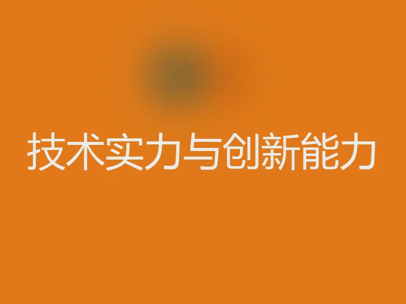 技术实力与创新能力