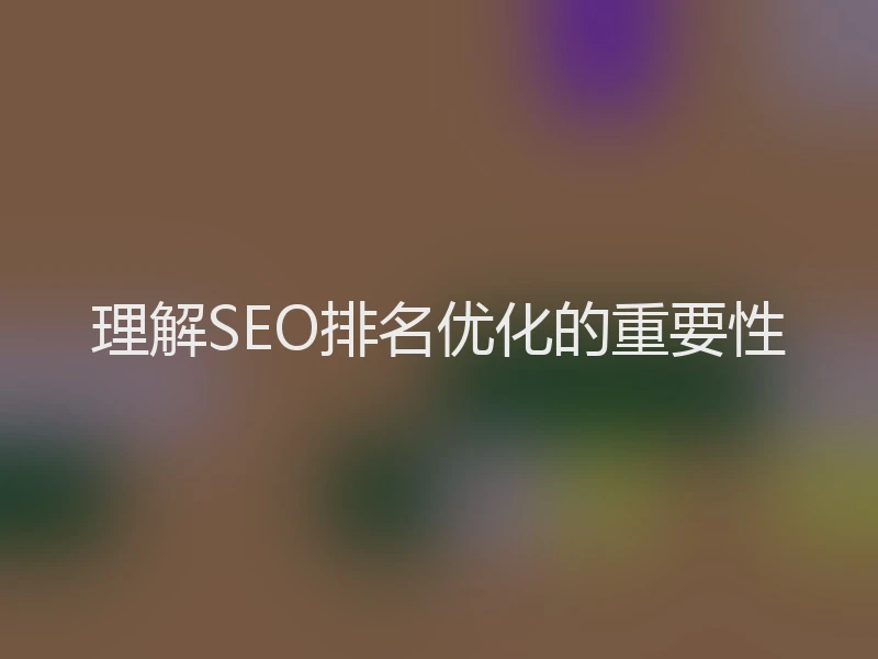 理解SEO排名优化的重要性
