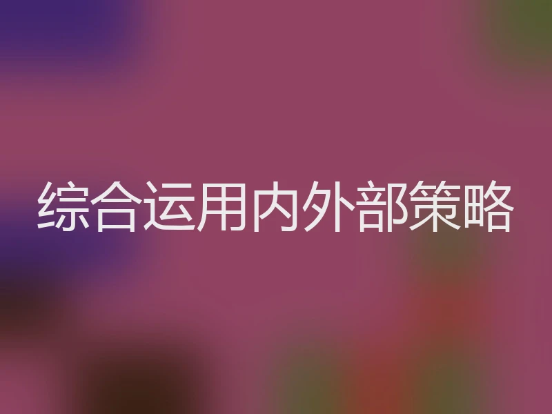 综合运用内外部策略