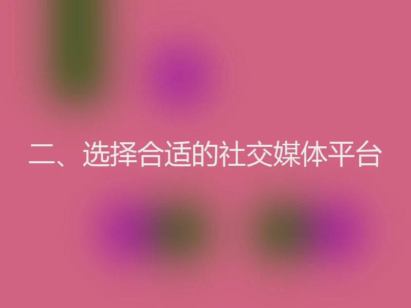 二、选择合适的社交媒体平台