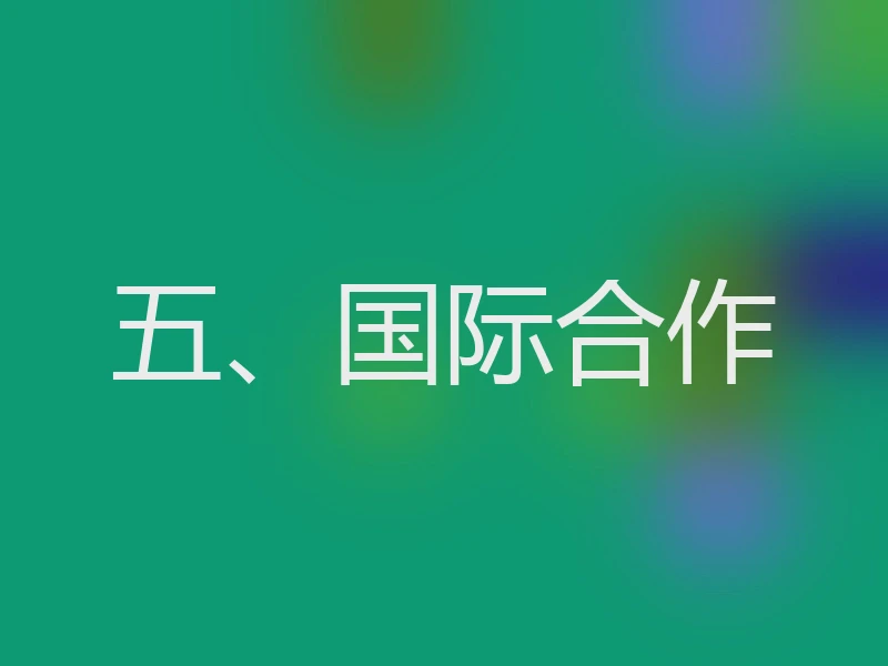 五、国际合作
