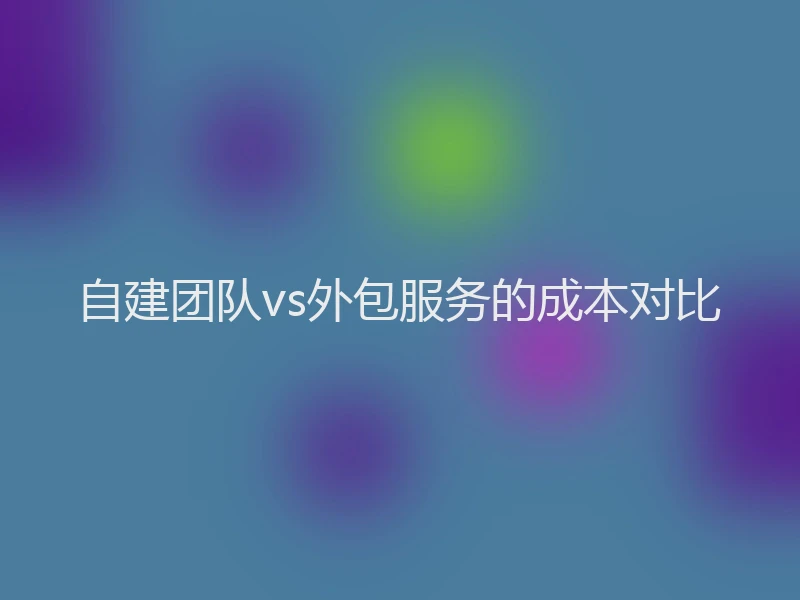 自建团队vs外包服务的成本对比
