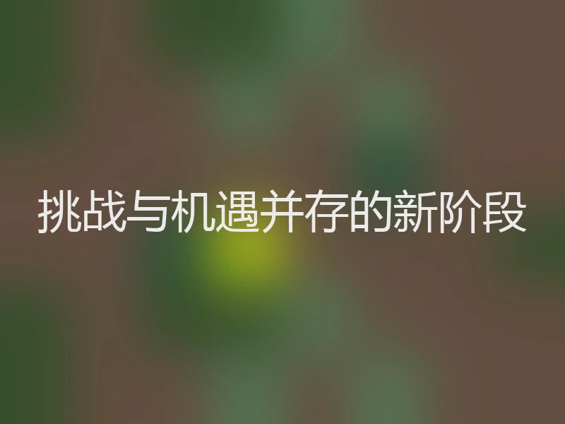 挑战与机遇并存的新阶段