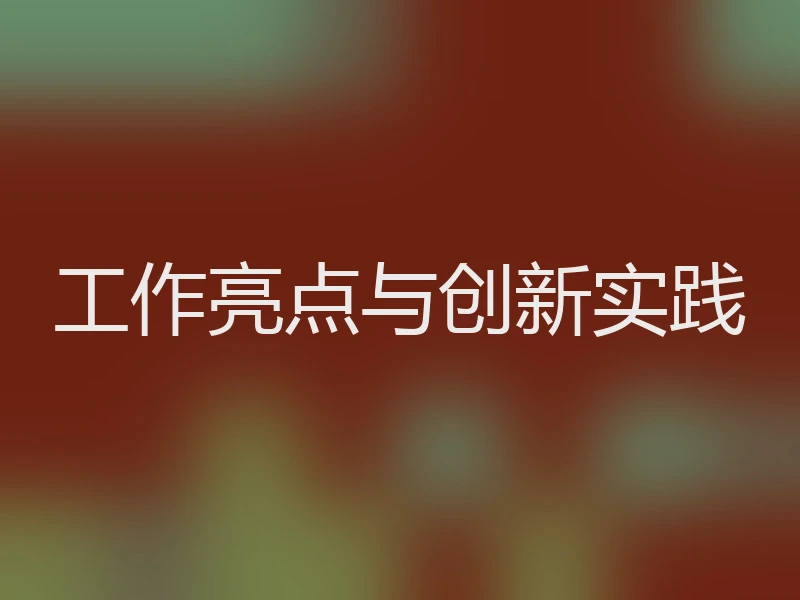工作亮点与创新实践