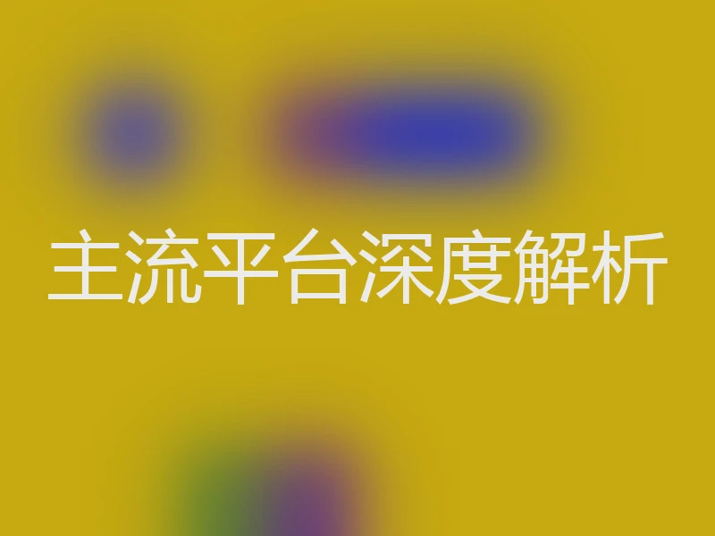 主流平台深度解析
