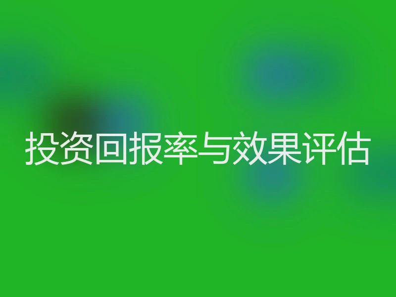 投资回报率与效果评估