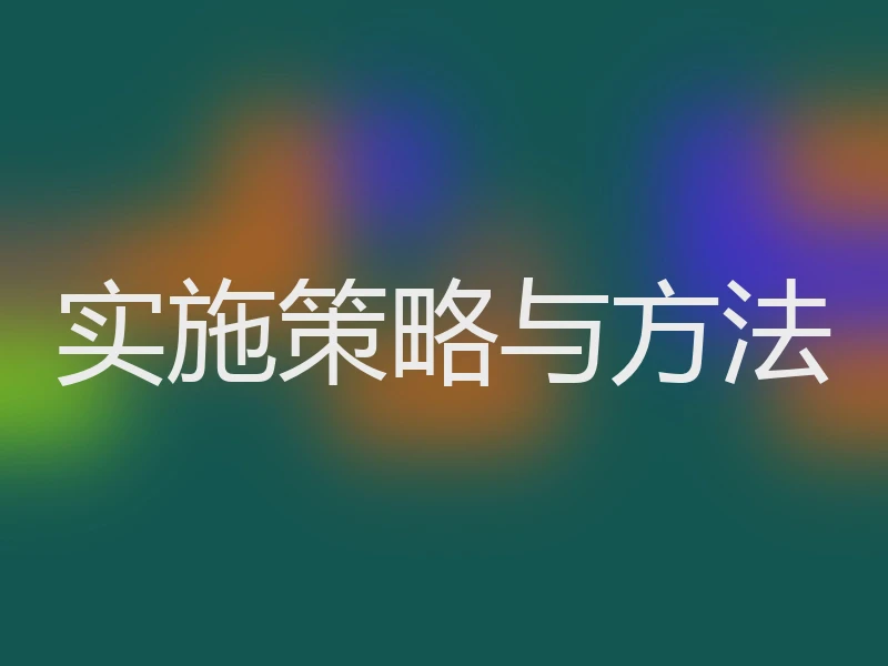 实施策略与方法