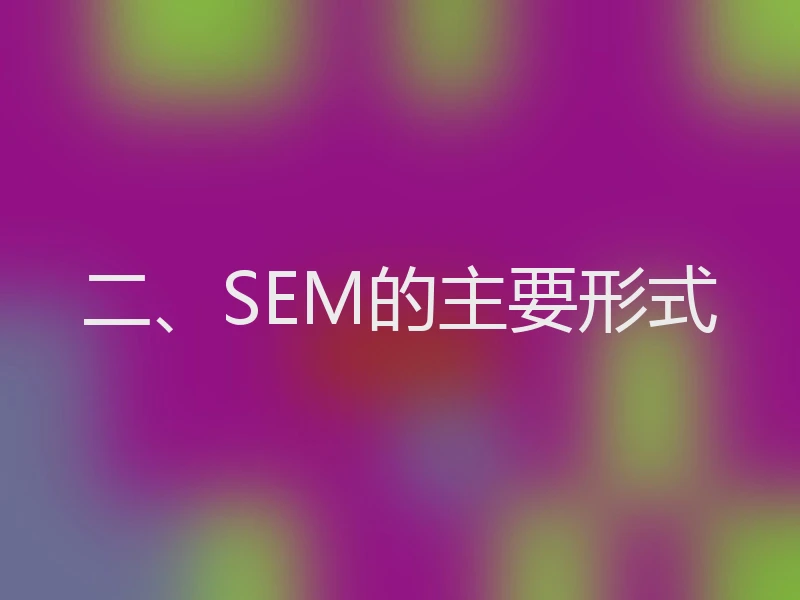 二、SEM的主要形式