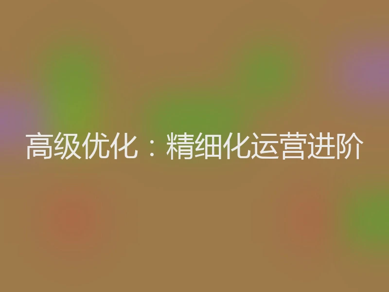 高级优化：精细化运营进阶