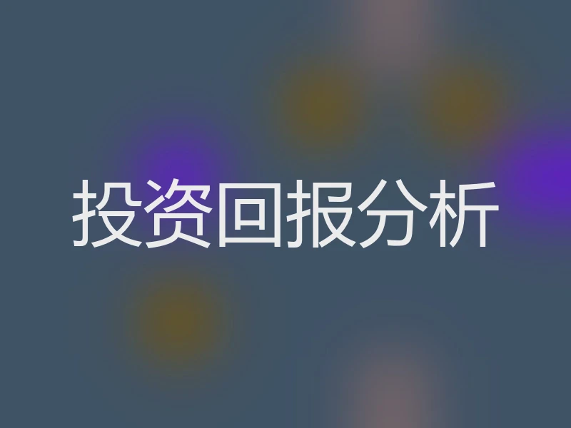 投资回报分析