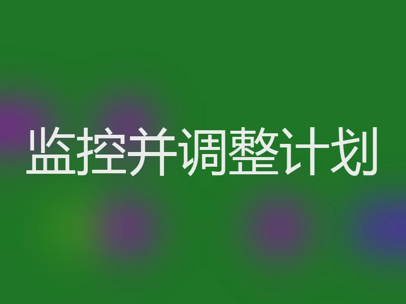 监控并调整计划