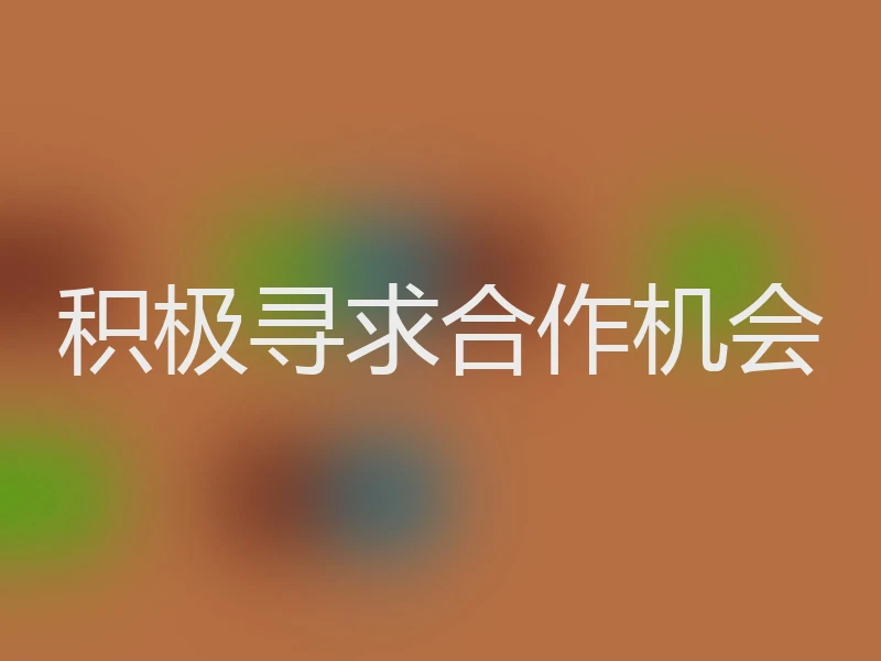 积极寻求合作机会