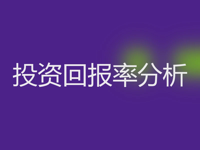 投资回报率分析