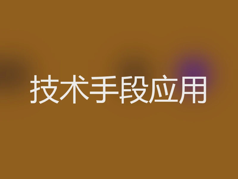 技术手段应用