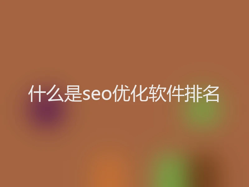 什么是seo优化软件排名