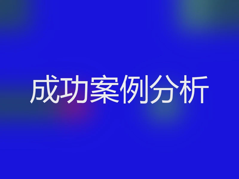 成功案例分析